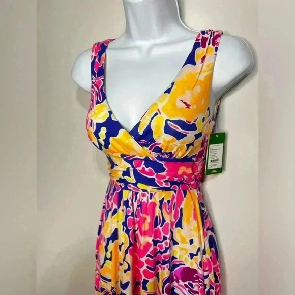 NWT Lily Pulitzer Sloane Midi Dress Catch and Release Size XXS - Picture 5 of 8